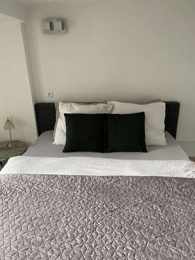 Zomerhuis Wonders 赞德沃特 外观 照片